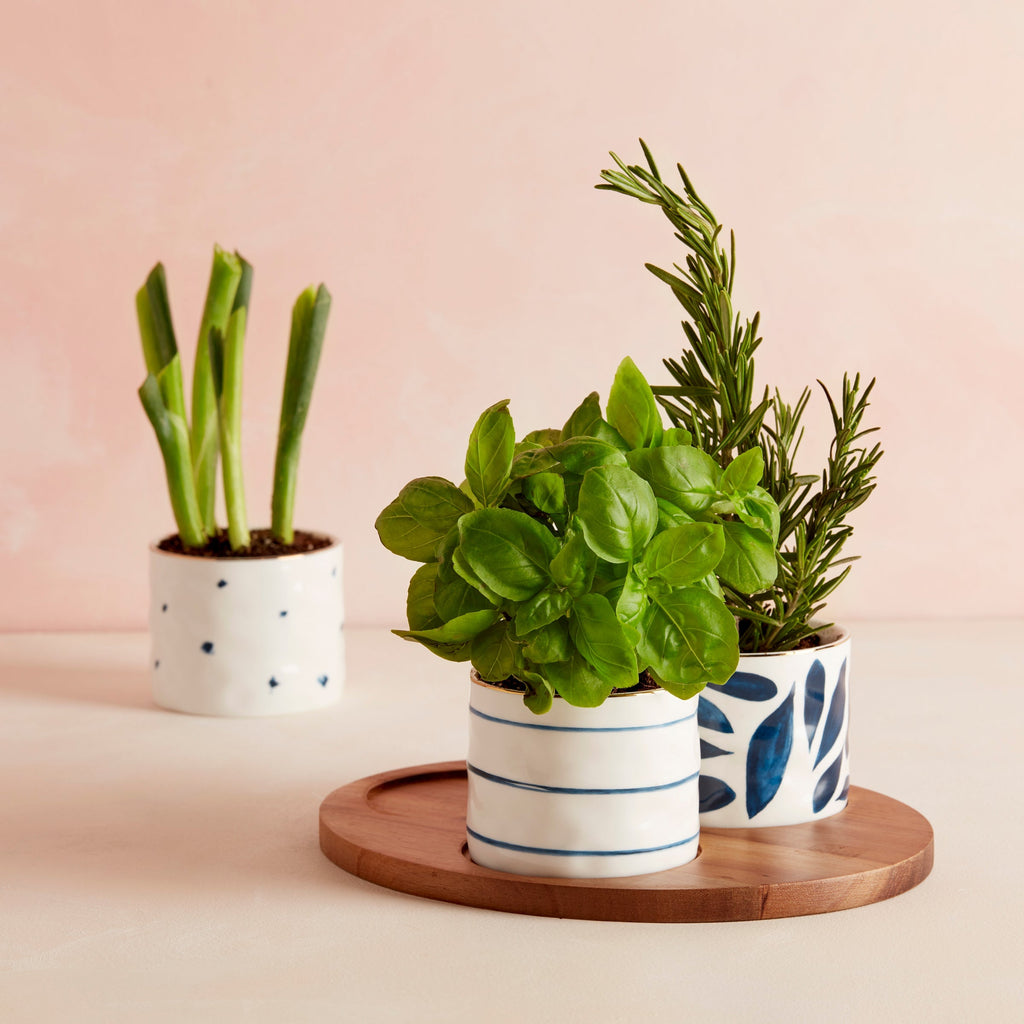 Bols à goûter Blue Bay - Lot de 3 - Avec plateau en bois