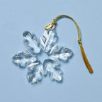 Ornement Flocon de Neige Optique 2025