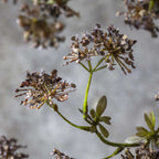 Tige de berce artificielle