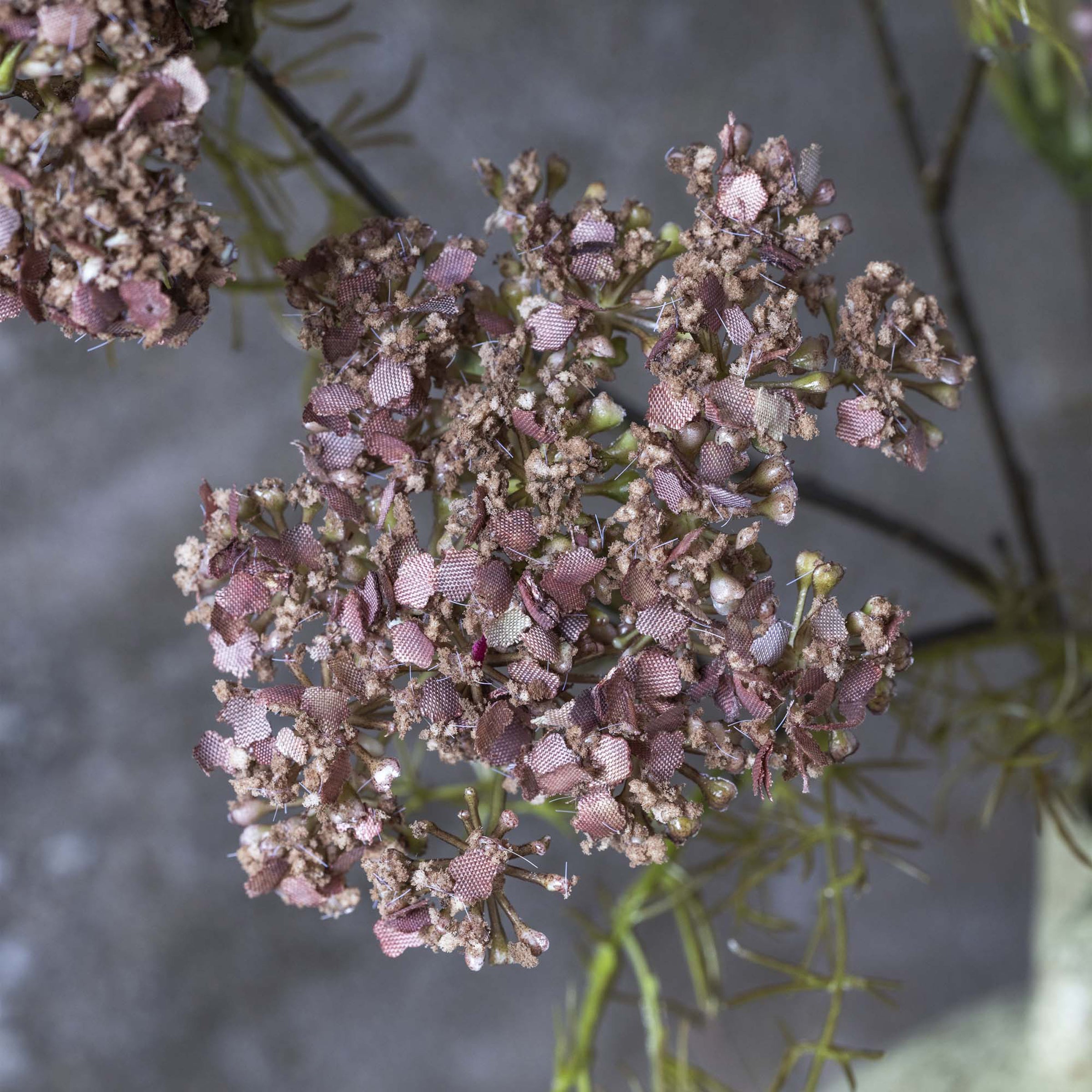 Tige de fleur d'aneth artificielle