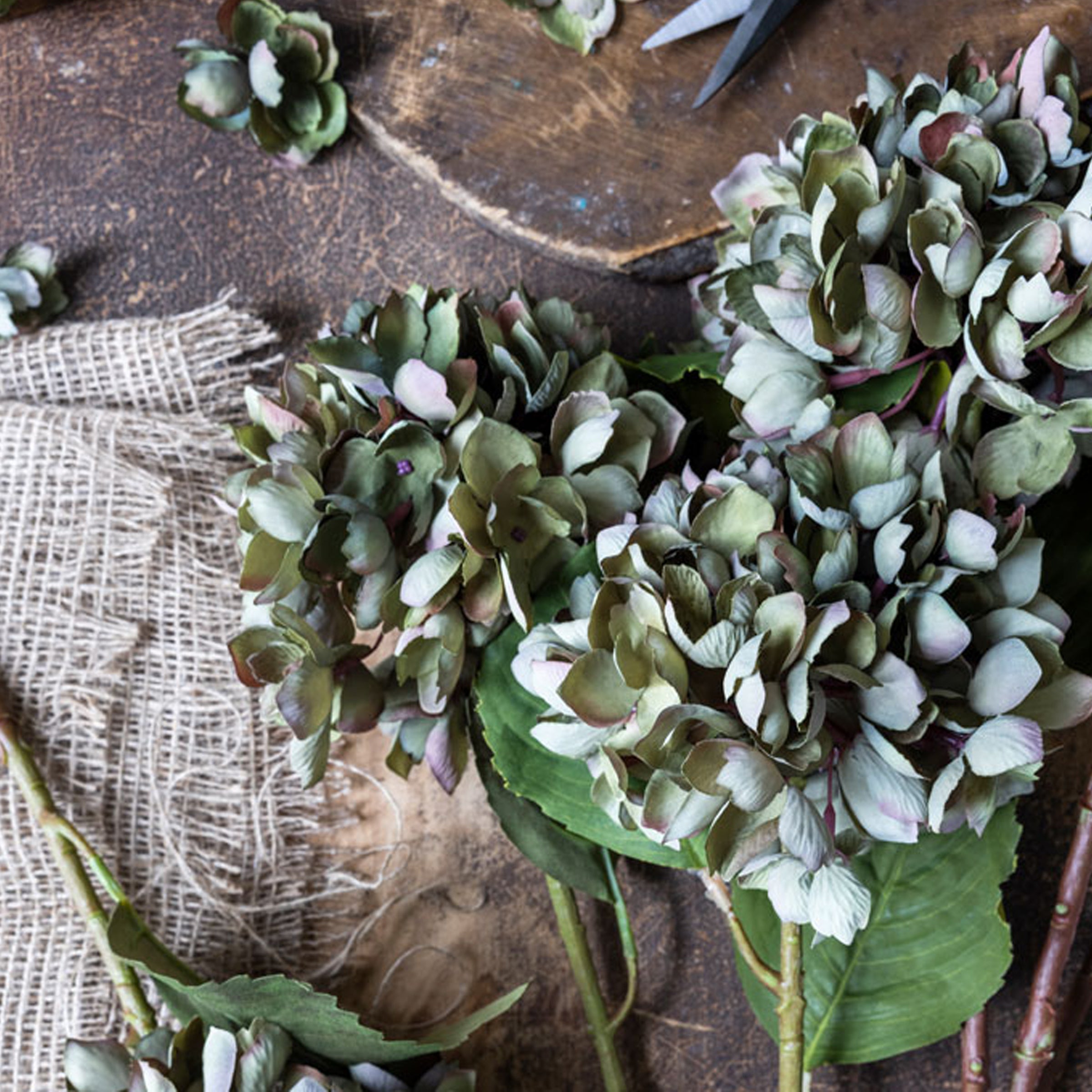 Tige d'hortensia artificielle, Chloris