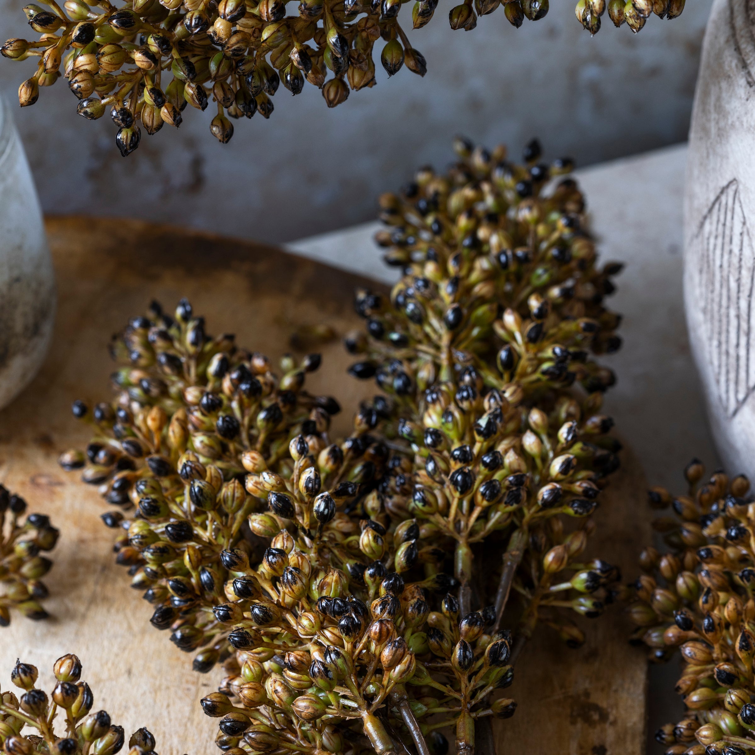 Tige de sorgho artificielle, couleur ambre