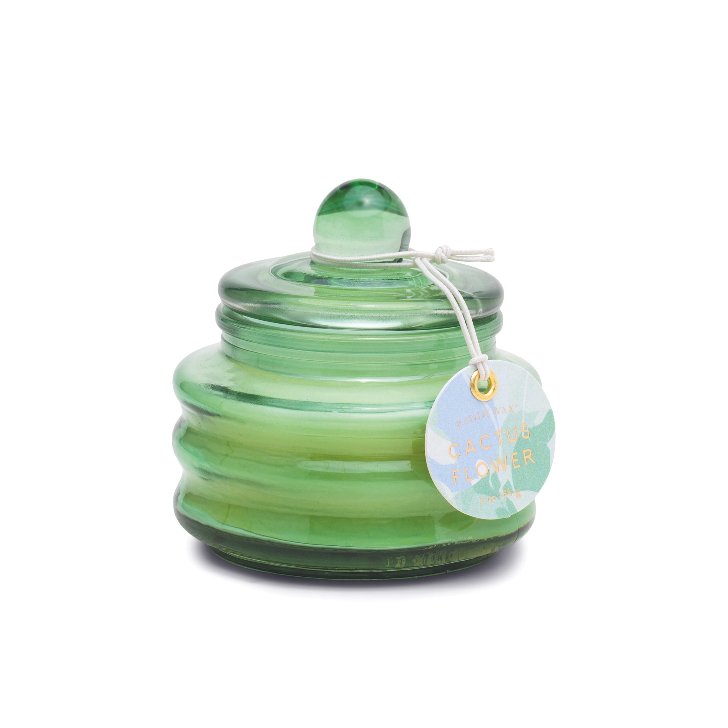 Bougie Beam en cire de soja de 85 g, parfum Fleur de cactus